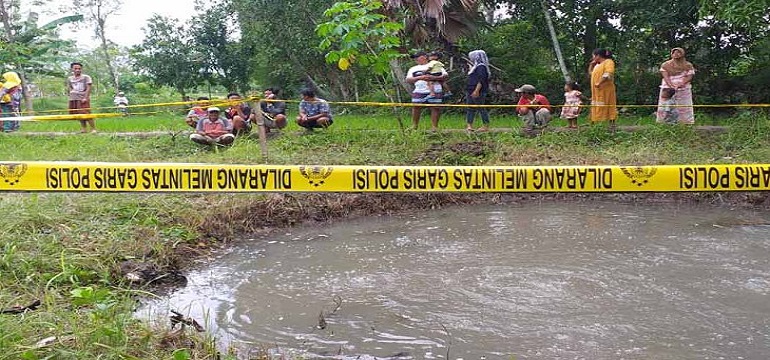 Heboh! Muncul Sawah Mendidih di Sumenep